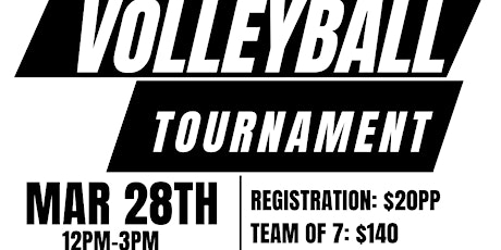 The Real Estate Life Volleyball Tournament