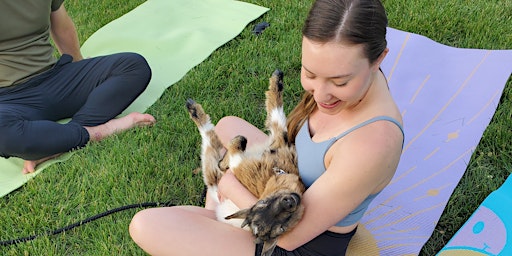 Primaire afbeelding van Goat Yoga and Z&M Twisted Vineyard- Lawrence, KS Sun May19 2pm