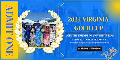 Imagem principal do evento VA Gold Cup 2024