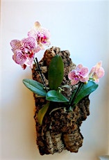 Make & Take Orchid Planters Afternoon