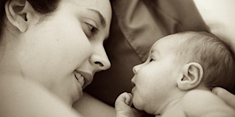 Imagen principal de SPH Virtual Prenatal Workshop - Postpartum and Baby Care with Amy