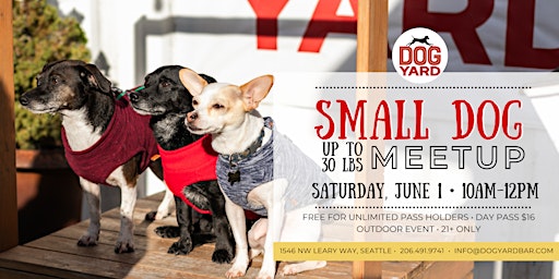 Hauptbild für Small Dog (<30 lbs) Meetup at the Dog Yard Bar - Saturday, June 1
