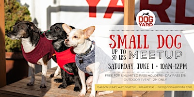 Primaire afbeelding van Small Dog (<30 lbs) Meetup at the Dog Yard Bar - Saturday, June 1