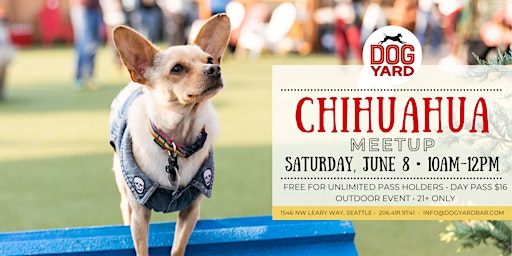Primaire afbeelding van Chihuahua Meetup at the Dog Yard Bar - Saturday, June 8