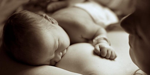 SPH Virtual Prenatal Workshop - Breastfeeding with Christina primary image