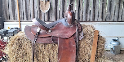 Principles of Saddle Fitting primary image