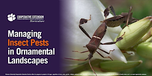 Imagen principal de Managing Insect Pests in Ornamental Landscapes
