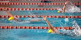 Immagine principale di The swimming competition ceremony was extremely exciting 