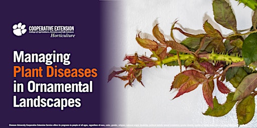 Imagen principal de Managing Plant Diseases  in Ornamental Landscapes