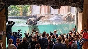 The event of visiting the zoo is extremely attractive  primärbild