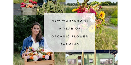 Hauptbild für A year of organic flower farming workshop