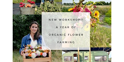 A year of organic flower farming workshop primary image