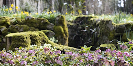 Guided Tour of The Italian Garden