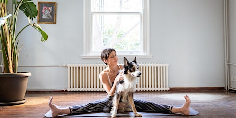 Feel Better With Yoga - Spring sessions at Charing Cross