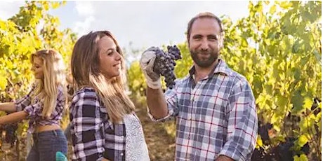 The fruity aroma fills the countryside on picking day