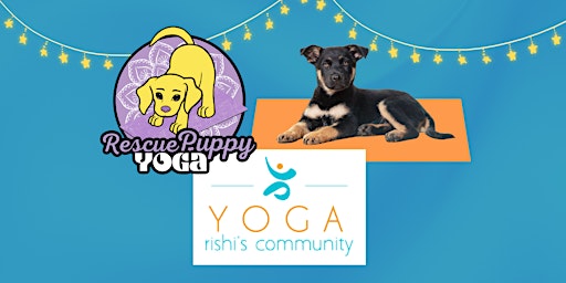 Primaire afbeelding van Rescue Puppy Yoga -  Rishi’s Community Yoga