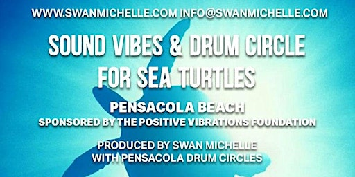 Imagem principal do evento Sonic Sound Experience for Sea Turtles