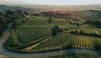 Immagine principale di DAL CHICCO AL CALICE :Visita in Cantina e Degustazione Vini Bio 