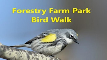 Imagem principal do evento Forestry Farm Park Bird Walk