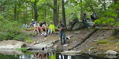 Secret Sounds of Ponds Live primary image