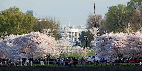 Easter Afternoon Tour, President's Park, Lafayette Square Washington DC!