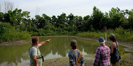 Hauptbild für WETLAND AND MEADOW HABITAT WALK