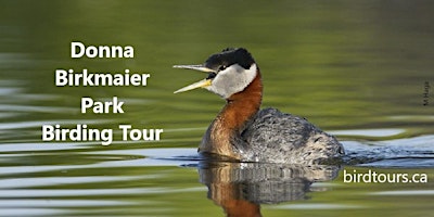 Primaire afbeelding van Donna Birkmaier Park Birding Tour - Saskatoon