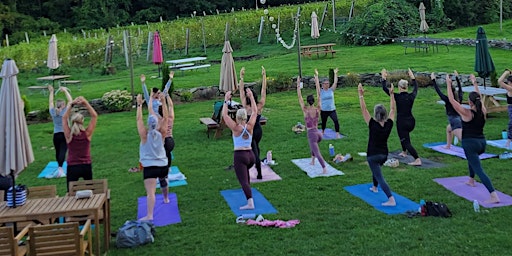 Imagem principal do evento Vineyard Yoga at Broken Creek Vineyard