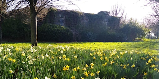 Imagen principal de Dawn Chorus led walk in Burgess Park