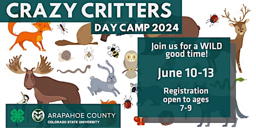 Imagem principal do evento 2024 Crazy Critters Day Camp