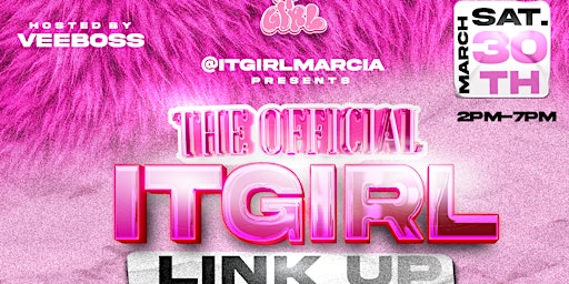 Imagem principal do evento The Official Itgirl Link Up