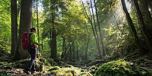 Hauptbild für Nature Coaching - Weekend