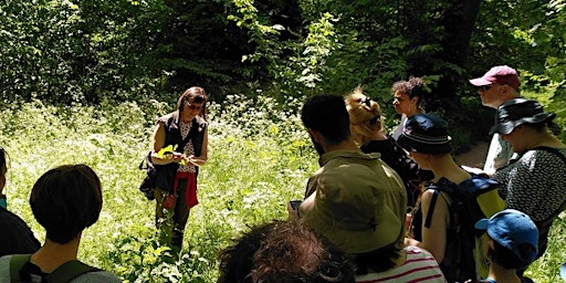 Imagem principal de Spring Foraging Walk in People's Park