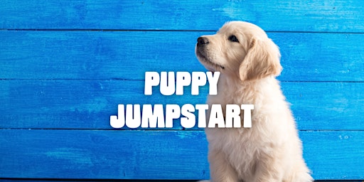 Puppy Jumpstart Clinic primary image