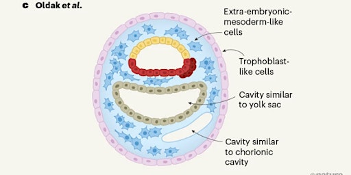 Immagine principale di New horizons of reproduction 