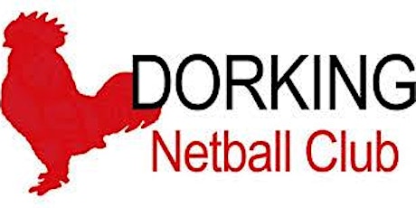 Dorking Netball Club 20th Anniversary