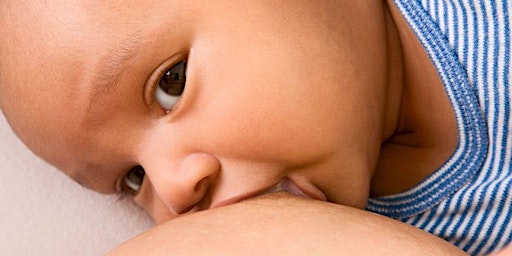 Immagine principale di Free Breastfeeding Information Session (Auburn patients) 