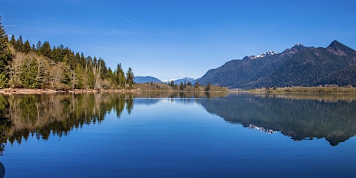 HEAVEN ON EARTH -Emerald Ray Rainforest, Waterfalls & Lake Quinault Retreat primary image