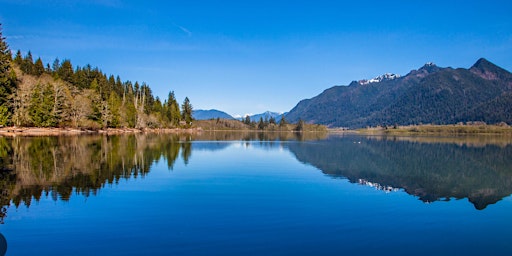 HEAVEN ON EARTH -Emerald Ray Rainforest, Waterfalls & Lake Quinault Retreat primary image
