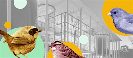 Imagen principal de Bird-Friendly Building: Designing Safer Buildings for Birds