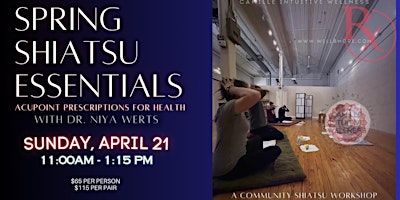 Imagem principal do evento Spring Shiatsu Essentials: Community Shiatsu Workshop