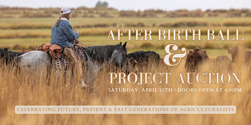 After Birth Ball & Project Auction primary image