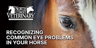 Imagem principal do evento FREE Dinner/Education Event: Recognizing Common Eye Problems in Your Horse