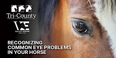 Primaire afbeelding van FREE Dinner/Education Event: Recognizing Common Eye Problems in Your Horse