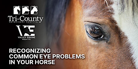 FREE Dinner/Education Event: Recognizing Common Eye Problems in Your Horse