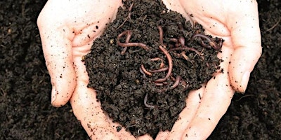 Intro to Cold Compost, Worm Farm and Bokashi Systems with Kaz Phillips primary image