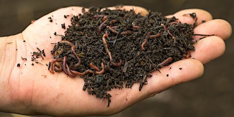 Hauptbild für FREE Compost & Worm Farming Workshop + Special Guest  Appearance Paul West