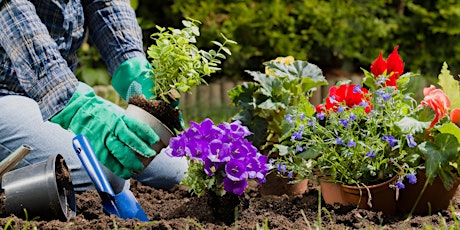 Garden Carer Social