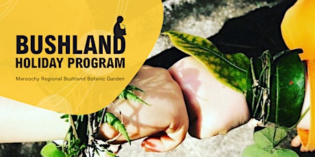 Bushland Holiday Program - Autumn