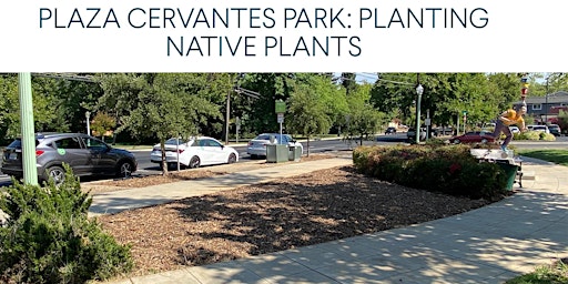 Imagem principal do evento PLAZA CERVANTES PARK:  PLANTING  NATIVE PLANTS